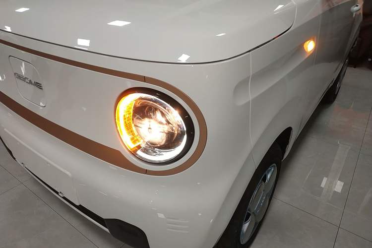 Used  Panda 2024 Panda Mini 200km Endurance Bear
