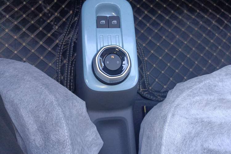 Used  Panda 2024 Panda Mini 200km Endurance Bear