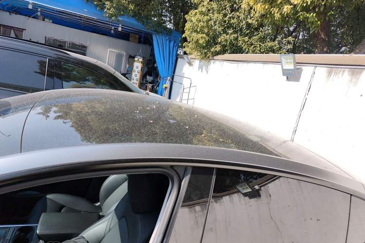 Used Tesla Model Y 2022 Rear-Wheel-Drive Version