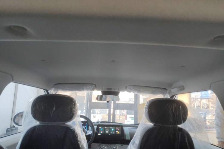 Used  Lumin 2025 205 km Xiangqin Version
