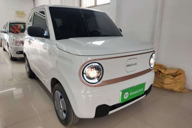 Used  Panda 2025 210 km – Yuanqi Bear