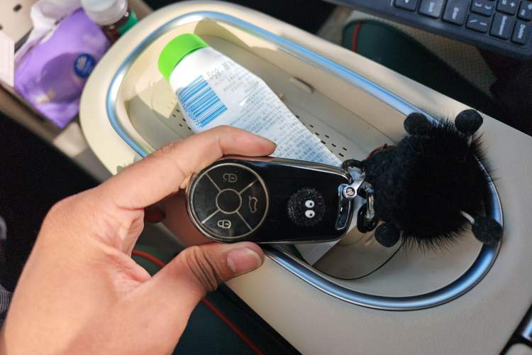 Used ORA Good Cat 2023 401 km Standard Range Premium Version Lithium Iron Phosphate