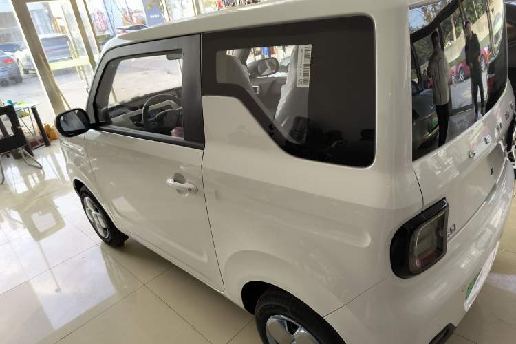 Used  Panda 2024 Panda Mini 200km Endurance Bear
