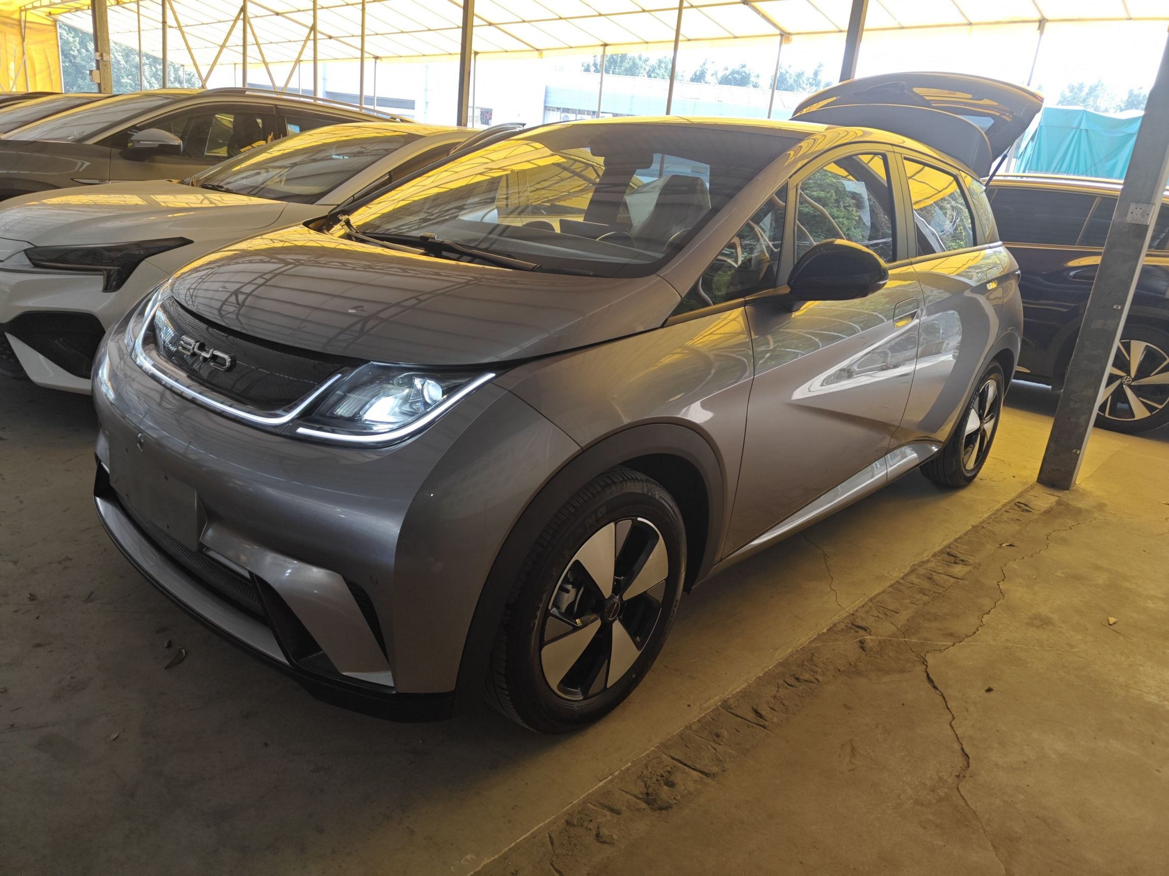 تحت مقدمة السيارة