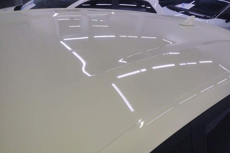 Used BYD Dolphin 2024 Honor Edition 420km Freedom Version
