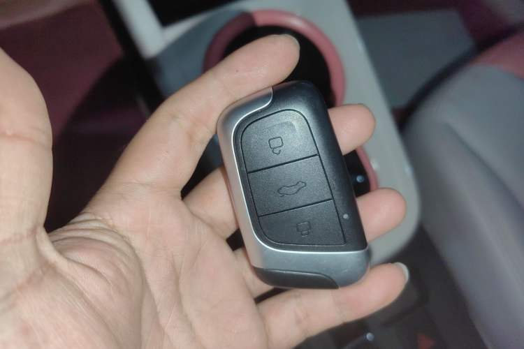 Used Chery Little Ant 2022 Sweet Pink Edition Full-Sugar Version Lithium Iron Phosphate 30 kW 301 km
