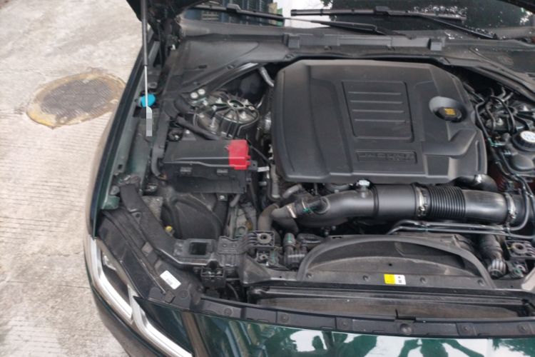 Used Jaguar XFL 2024 2.0T P250 Two-Wheel Drive Prestige Luxury Edition
