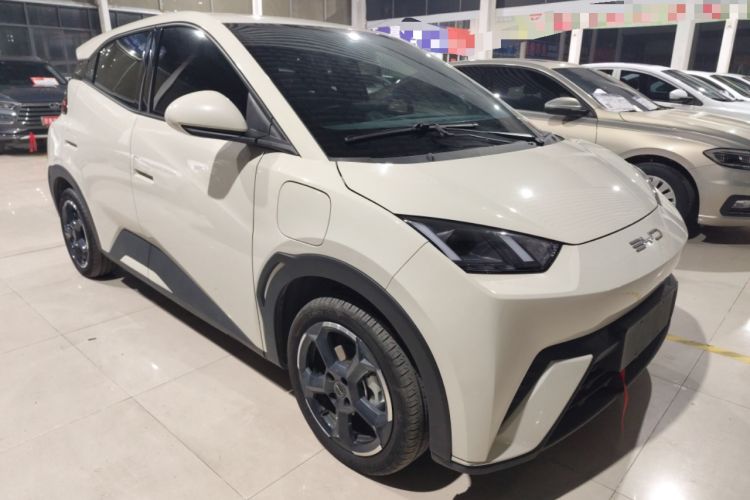 Used BYD Seagull 2023 Free Edition
