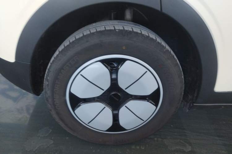 Used  Geome 2025 310km Youth Edition
