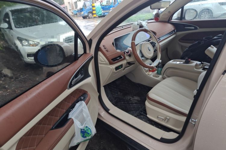 Used ORA Good Cat 2023 401 km Standard Range Prestige Version Lithium Iron Phosphate
