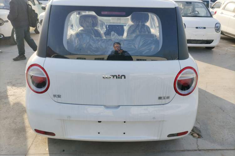 Used  Lumin 2025 205 km Xiangqin Version
