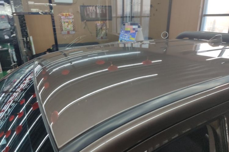 Used Great Wall Poer 2021 2.0T Commercial Version Automatic Diesel 4x4 Elite Long-Box GW4D20M