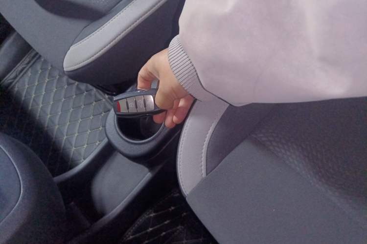 Used ORA White Cat 2020 305 km Luxury Version
