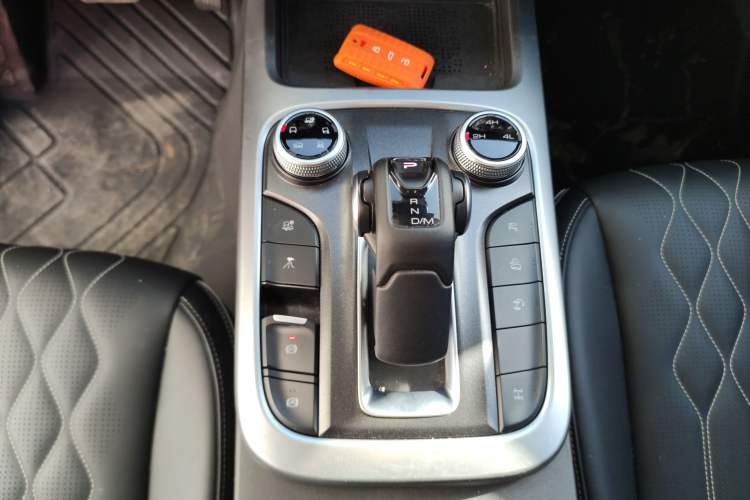 Used Tank 300 2024 2.0T Challenger
