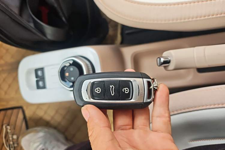 Used  Panda 2024 200km Panda Kart
