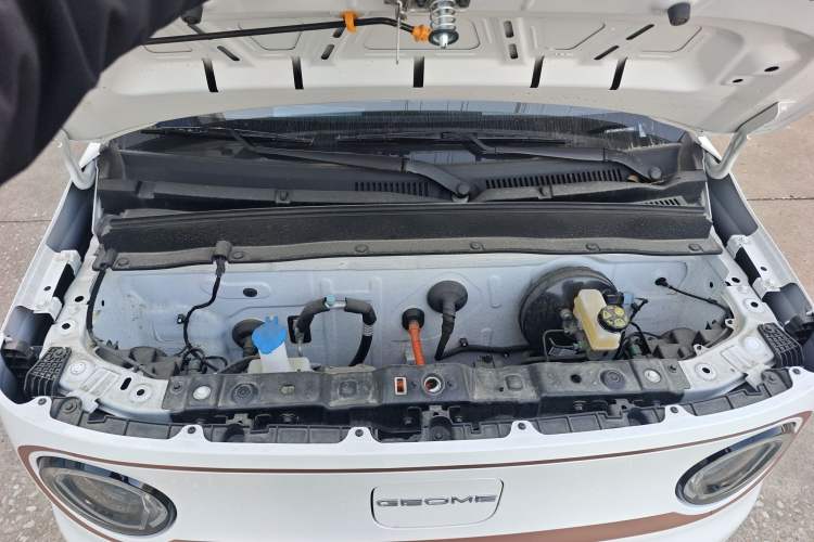 Used  Panda 2024 Panda Mini 200km Endurance Bear
