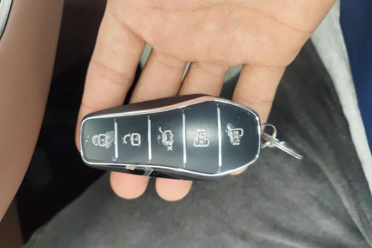 Used BYD Xia 2025 DM-i 1.5T 180km Beyond Edition
