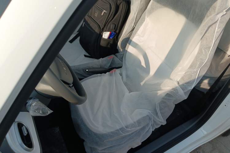 Used  Panda 2025 210 km – Yuanqi Bear
