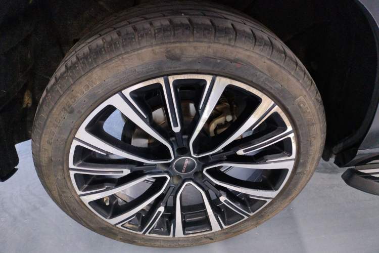 Used  Lanyue 2021 390T Two-Wheel Drive StarRui Edition