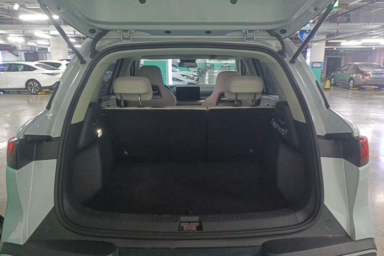 Used BYD Yuan UP 2024 401KM Leading Edition
