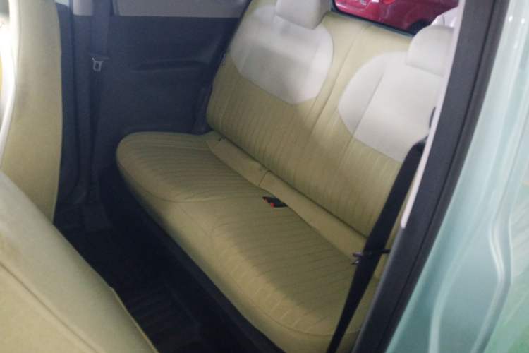 Used  Panda 2023 Panda Mini 200km Endurance Bear
