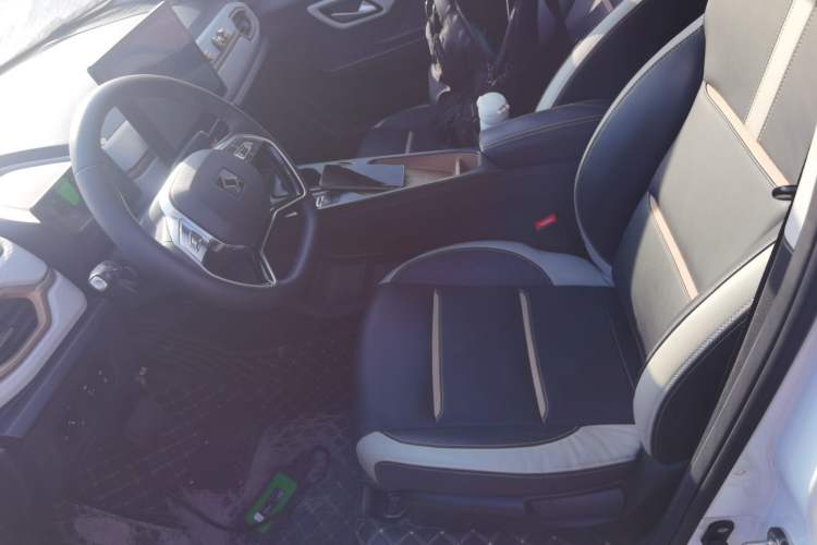 Used SOL E10X 2022 Flower Fairy Design Sunflower
