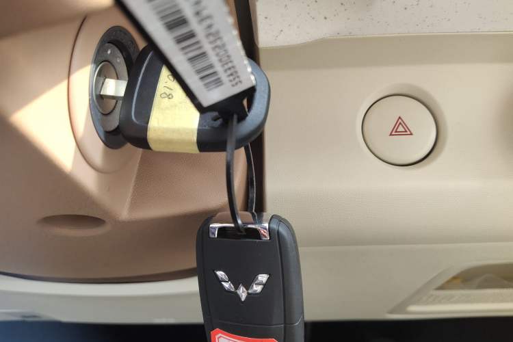 Used Wuling Hongguang MINIEV 2024 3rd Generation 215km Youth Edition