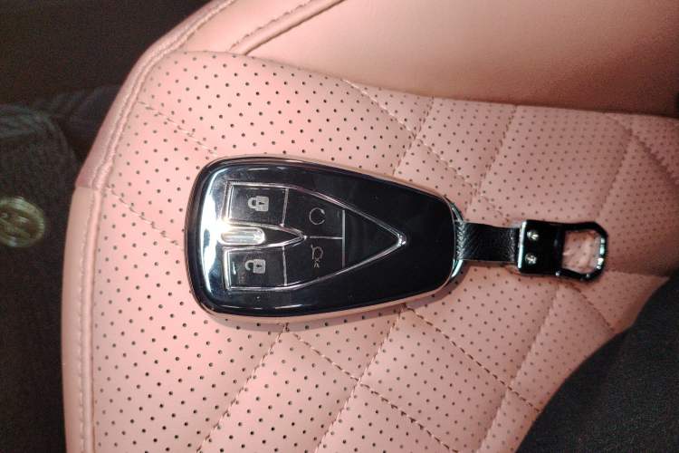 Used  A05 2024 Truly Delicious Version 145 Beyond-Excellent Type
