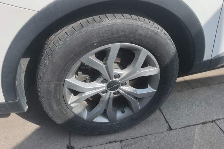 Used Haval H6 2021 National Trend Edition 1.5T Automatic Champion Version
