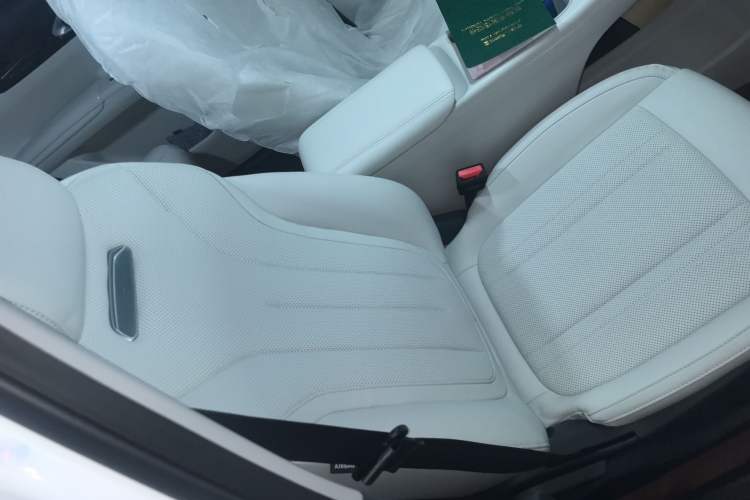 Used  Geome 2025 310km Dream Edition
