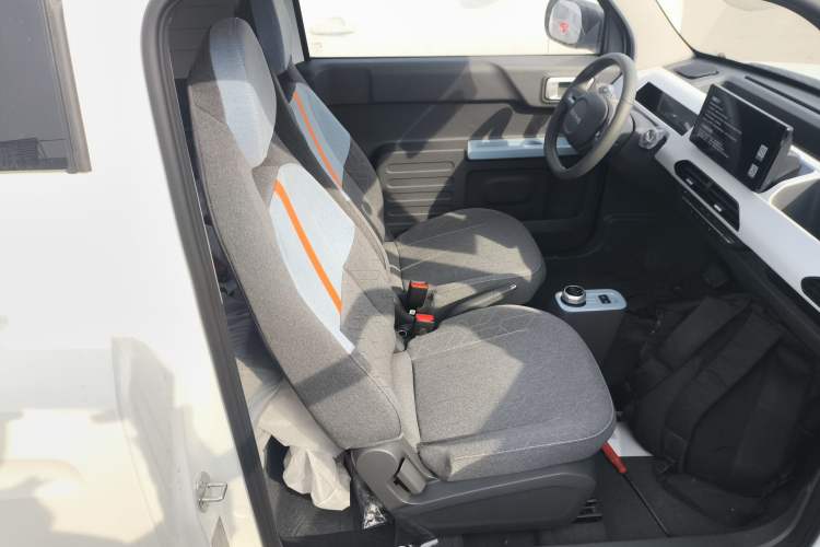 Used  Panda 2024 Panda Mini 200km Endurance Bear
