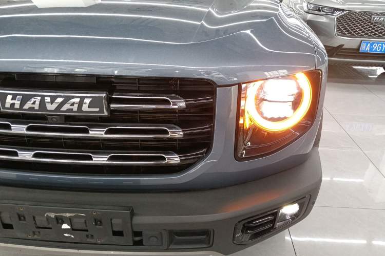 Used Haval DARGO 2021 2.0T DCT 4x4 Chinese Rural Dog Edition
