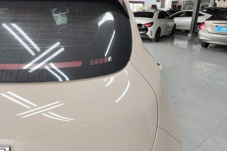 Used ORA Good Cat 2023 401 km Standard Range Luxury Version Lithium Iron Phosphate
