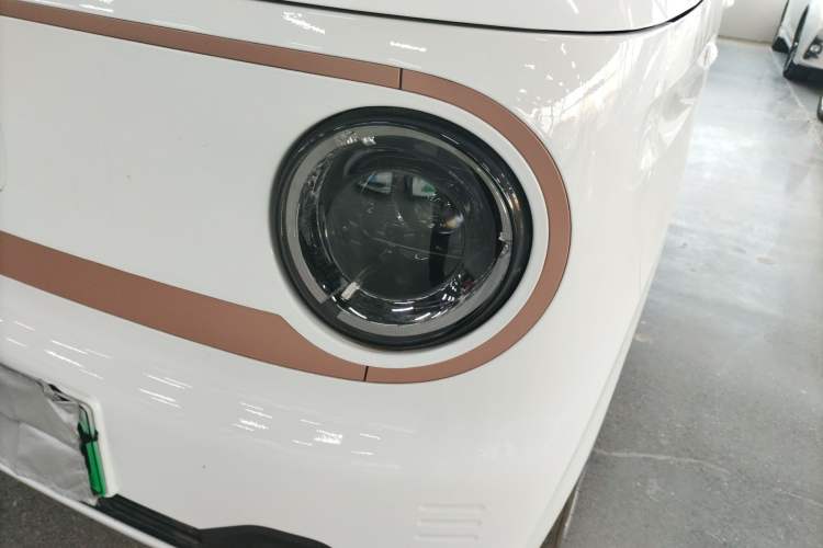 Used  Panda 2024 Panda Mini 200km Endurance Bear