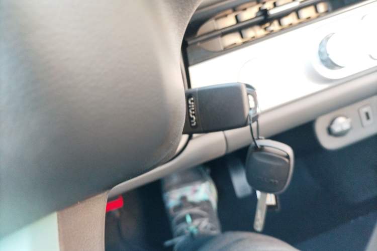 Used  Lumin 2025 205 km Xiangqin Version
