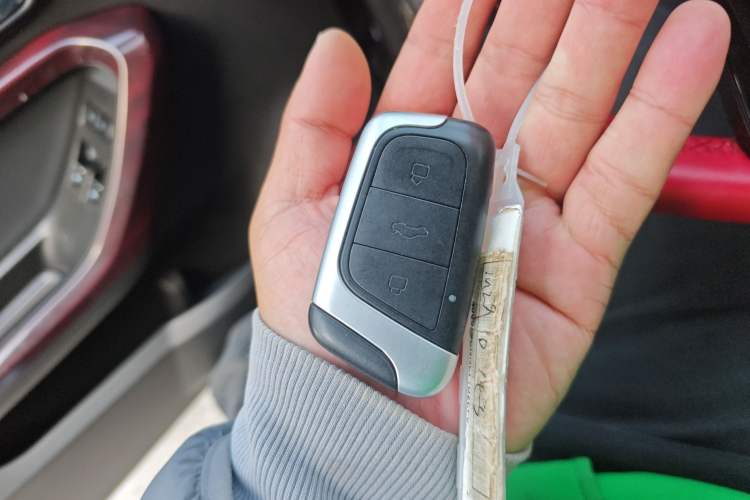 Used Chery Little Ant 2022 Sweet Pink Edition Half-Sugar Version Lithium Iron Phosphate 29.2 kWh 30 kW 301 km
