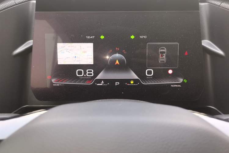 Used Haval DARGO 2024 2.0T DCT Chinese Rural Dog Edition
