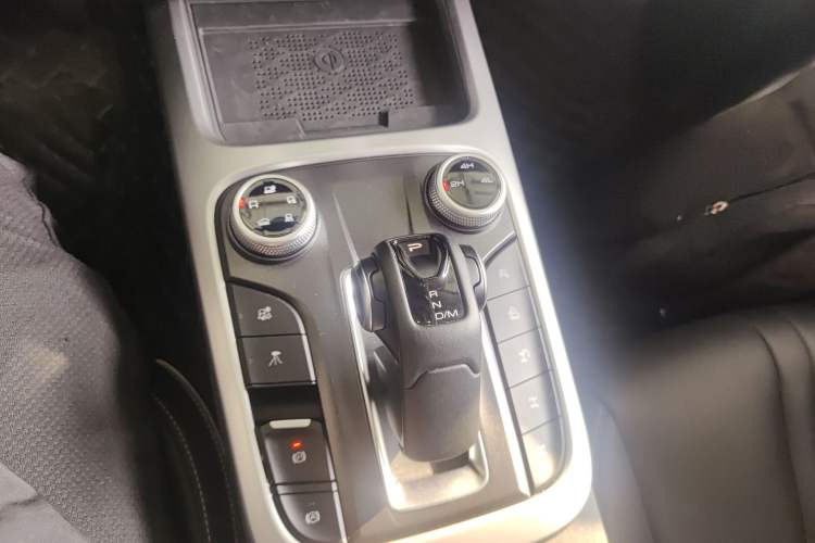 Used Tank 300 2024 2.0T Conqueror