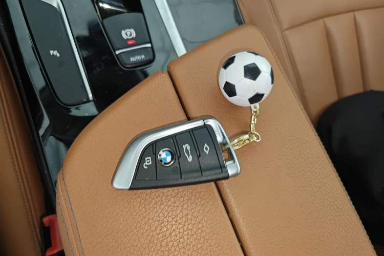 Used BMW 5 Series 2018 528Li Launch Special Edition
