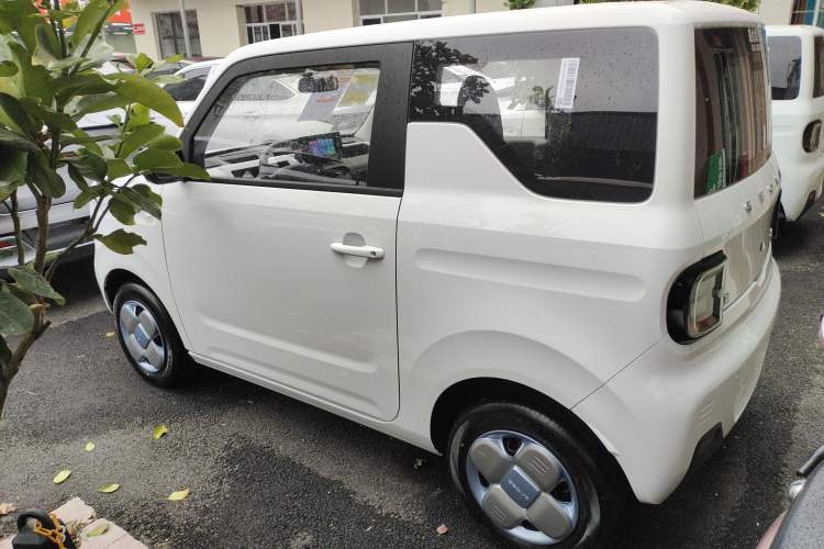 Used  Panda 2024 Panda Mini 200km Endurance Bear
