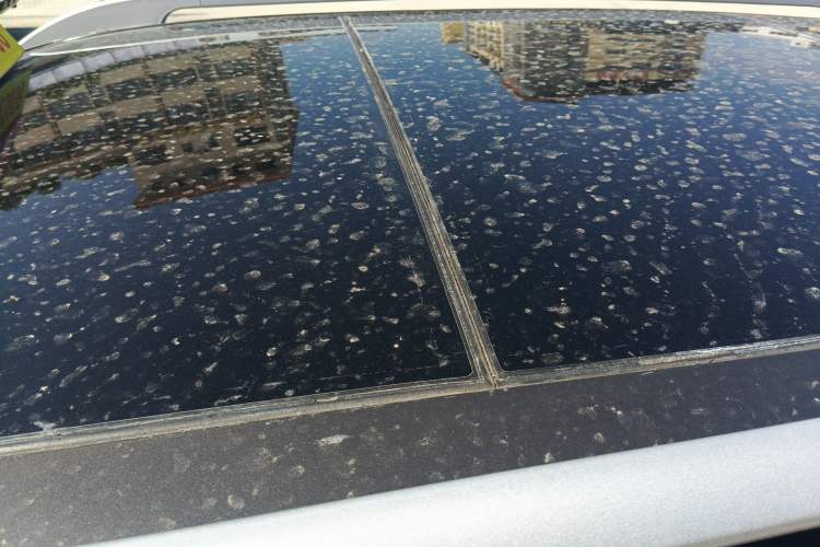 Used Nissan X-Trail 2017 2.0L CVT Comfort Edition 2WD