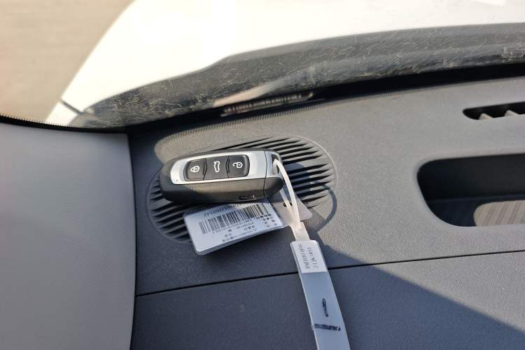 Used  Panda 2025 210 km – Yuanqi Bear
