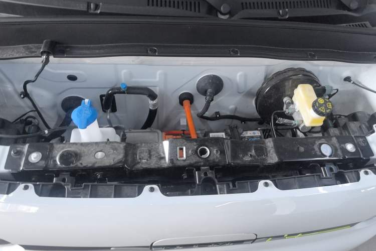 Used  Panda 2025 210 km – Yuanqi Bear
