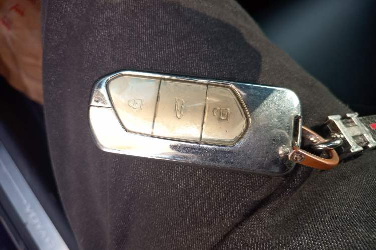 Used VOYAH FREE 2021 Four-Wheel Drive Standard Range-Extended Exclusive Luxury Package
