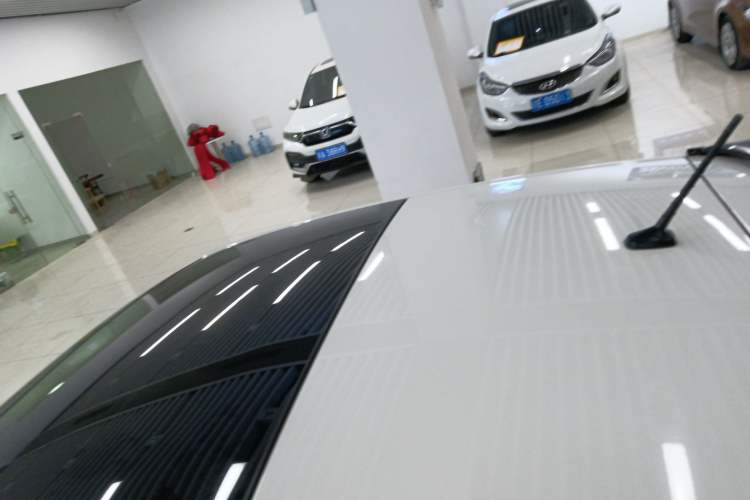 Used Volkswagen Polo 2019 Plus 1.5L Automatic Colorful Technology Edition