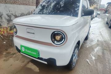 Used Geely Galaxy Panda 2025 210 km – Yuanqi Bear