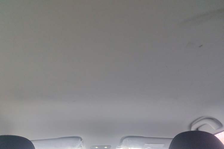 Used NETA V 2021 Standard Range Entertainment Edition
