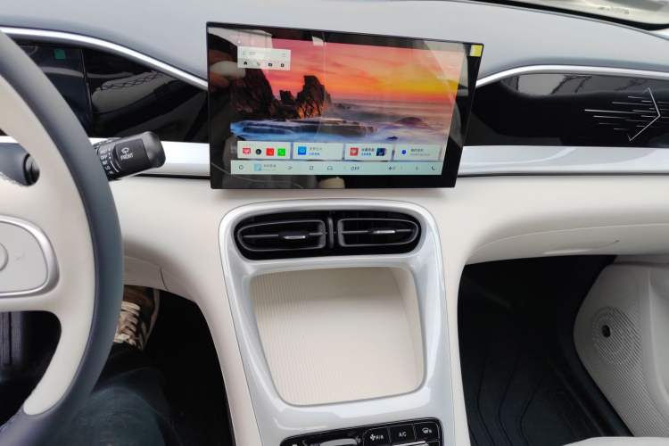 Used  Geome 2026 Model 310km Youth Edition