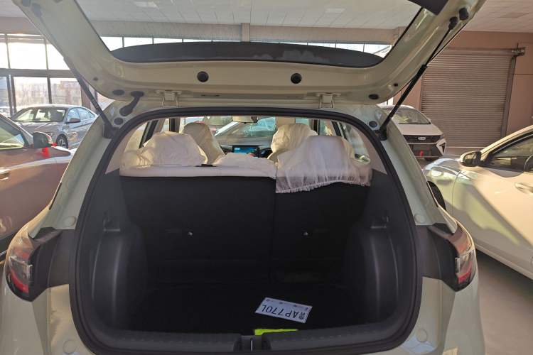 Used  Geome 2025 310km Youth Edition
