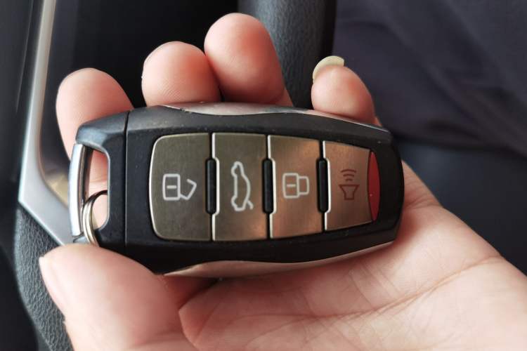 Used Haval H6 2023 National Trend Edition 1.5T Automatic Urban Version
